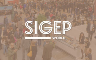 SIGEP World